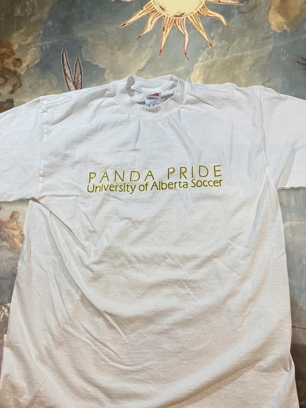 Vintage University of Alberta Soccer Panda Pride White Graphic Tee